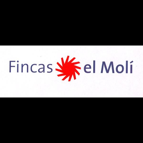 Imagen 54 Assessorament I Gestio de Finques El Moli SL foto