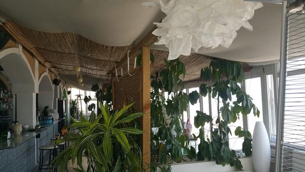 Imagen 385 Il Bacio Beach Club foto