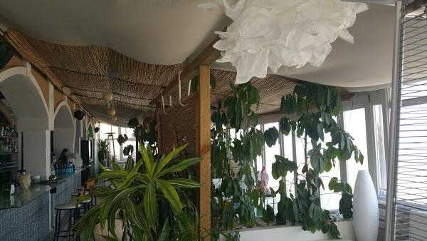 Imagen 409 Il Bacio Beach Club foto