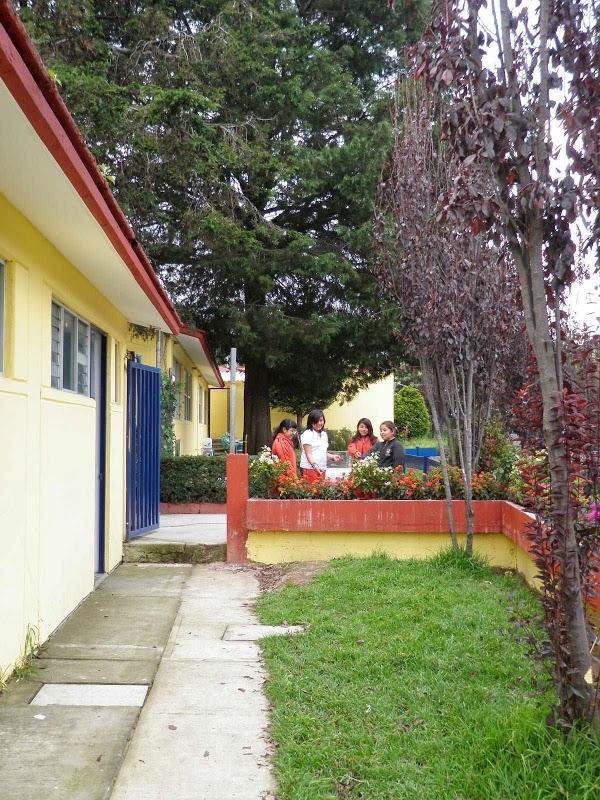 Imagen 3 Centro de Estética Woman Dreams foto