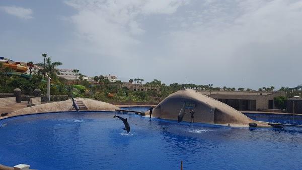 Imagen 46 Aqualand foto