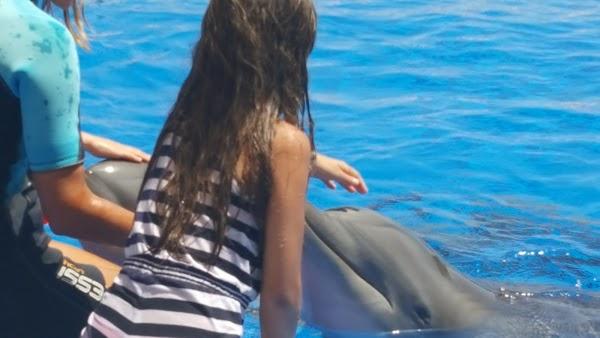 Imagen 51 Aqualand foto