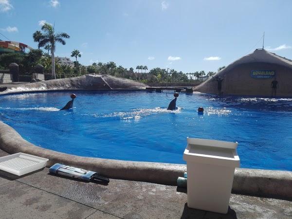 Imagen 70 Aqualand foto