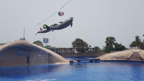 Imagen 73 Aqualand foto