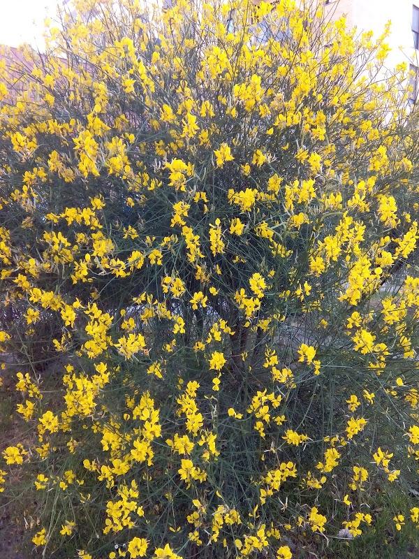 Imagen 64 Universidad Gestalt de Diseño, A.C. foto