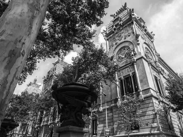 Imagen 23 Hostal Rey Pedro I foto