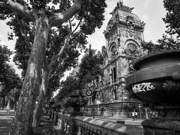 Imagen 39 Hostal Rey Pedro I foto