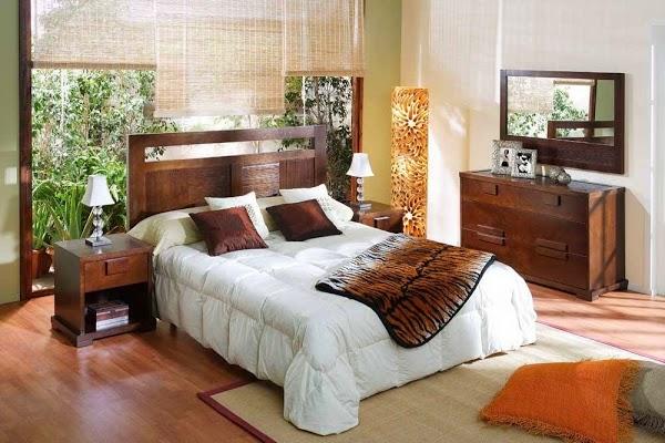 Imagen 11 PADRÓN Ortodoncia foto