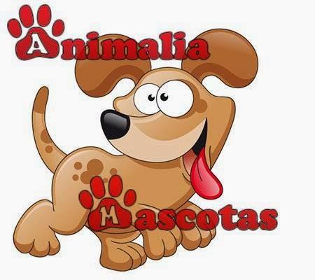 Imagen 60 Supermercados Mi Gente Villa Fontana foto