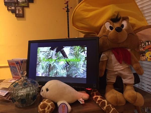 Imagen 10 Supermercados Mi Gente Villa Fontana foto