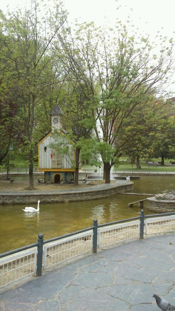 Imagen 11 Estetica Canina Peek foto