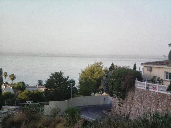 Imagen 17 Estetica Canina Peek foto