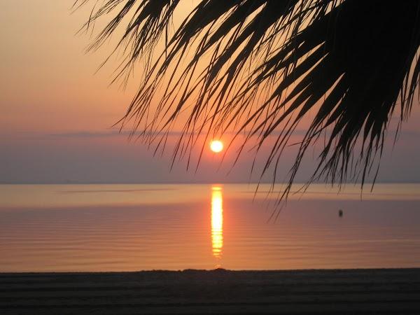 Imagen 48 Estetica Canina Peek foto