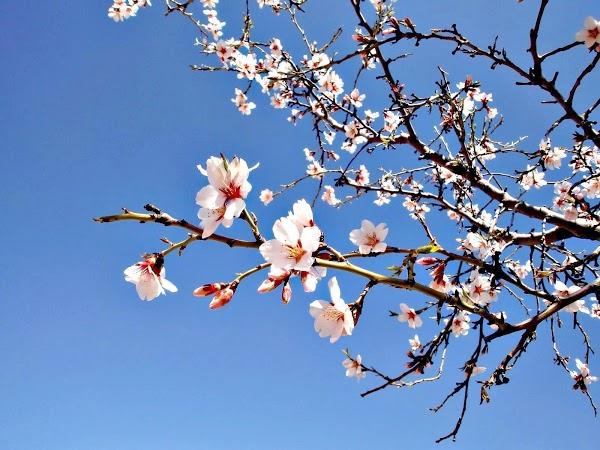 Imagen 50 Estetica Canina Peek foto