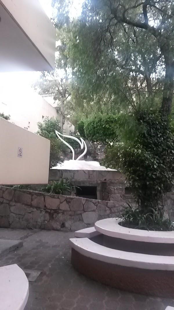 Imagen 24 Servei Estació foto