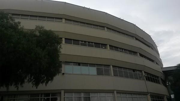 Imagen 31 Servei Estació foto