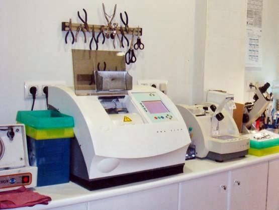 Imagen 2 Colegio Público Paulo Orosio foto