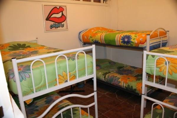 Imagen 4 Novedades LAS GEMELAS foto