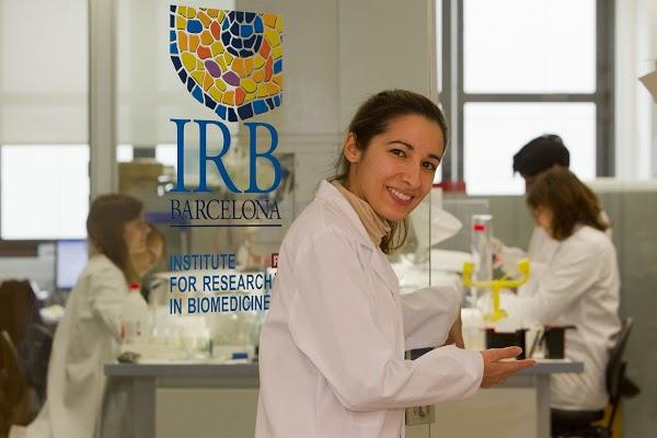 Imagen 2 Tokyo Central & Main foto