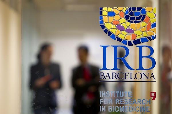 Imagen 6 Tokyo Central & Main foto