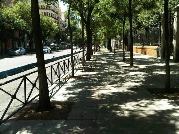 Imagen 6 Auditorio Alfredo Kraus foto