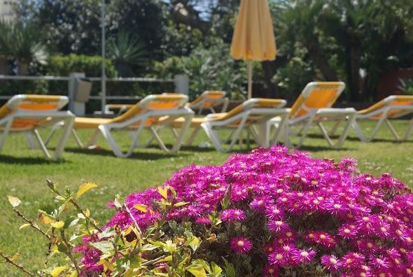 Imagen 36 ASC Seguro Compulsorio Bayamón foto