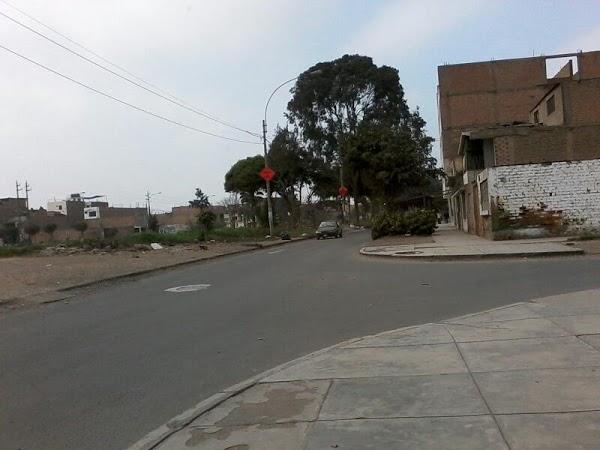 Imagen 1 Recambios Calle Real SL foto