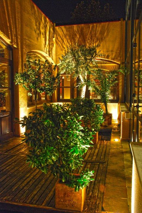 Imagen 9 Bombay foto