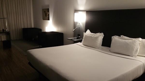 Imagen 12 Parque del Alamillo foto