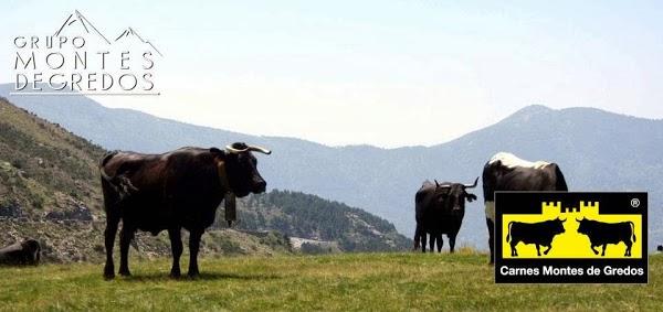 Imagen 21 La Patiss foto