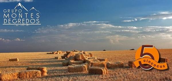 Imagen 42 La Patiss foto