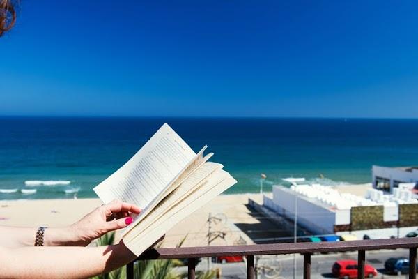 Imagen 15 Vicauto Motor Gaza, S.L. foto