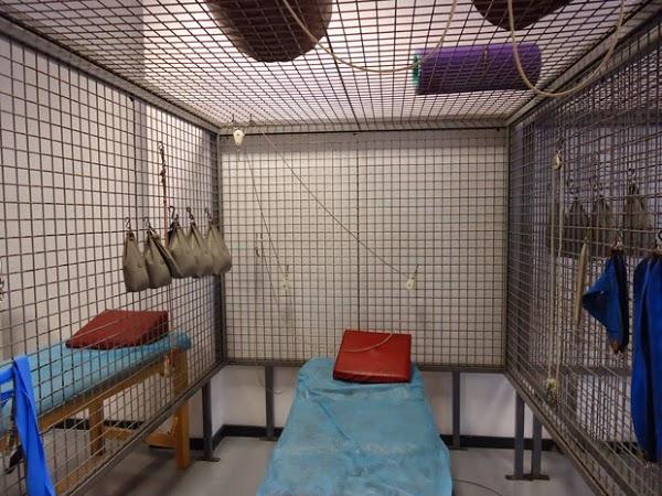 Imagen 18 Crown Mercedes-Benz Dublin foto