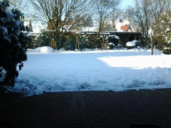 Imagen 43 Polideportivo Municipal Santo Tomás foto