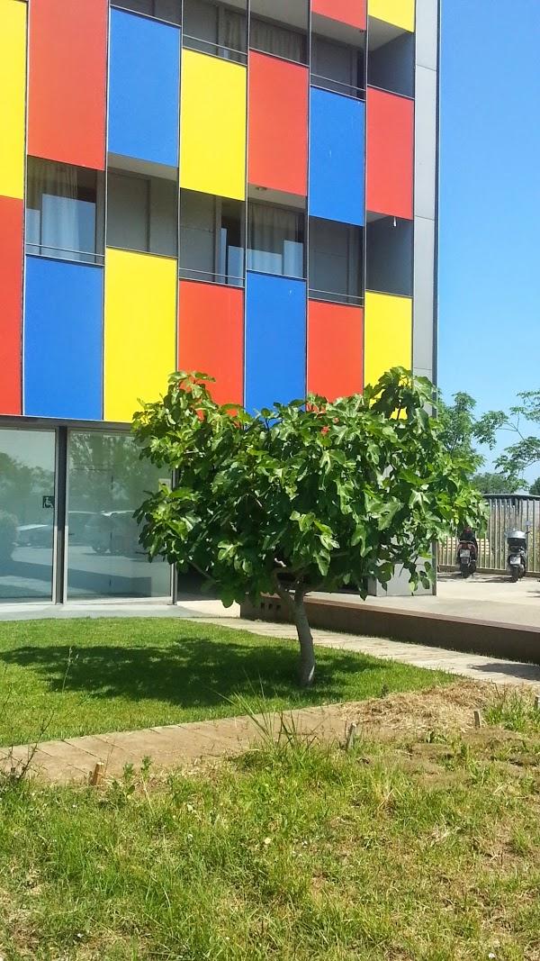 Imagen 3 Casto Arjona Hurtado foto