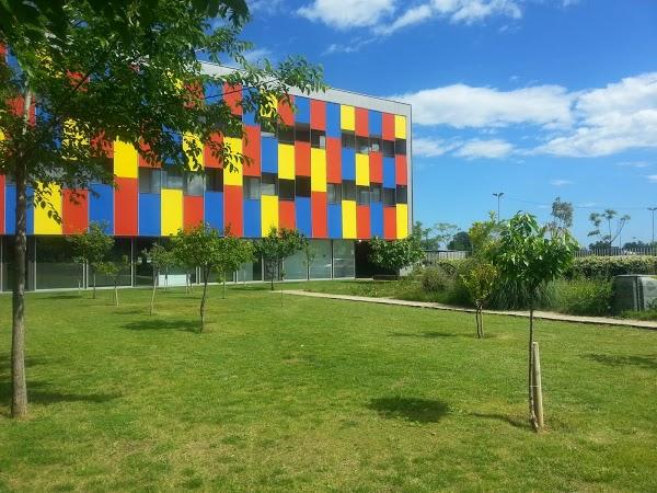 Imagen 8 Casto Arjona Hurtado foto