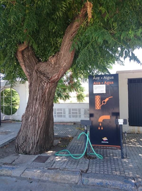 Imagen 52 Restaurante Asia Chic foto