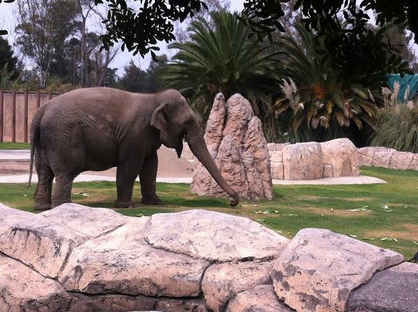 Imagen 9 Restaurante Asia Chic foto