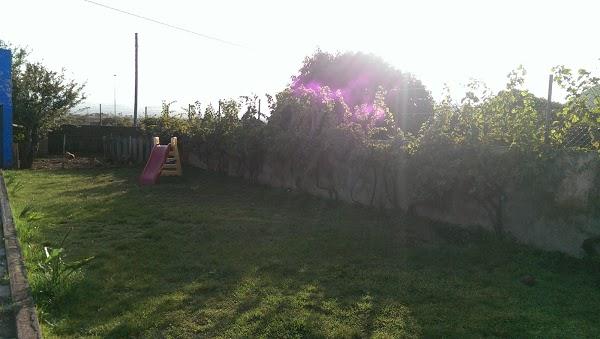 Imagen 52 Perla del Pacifico I foto