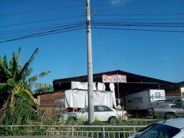 Imagen 24 Instituto Gandhi foto