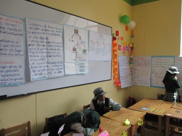 Imagen 38 ke-kermes foto