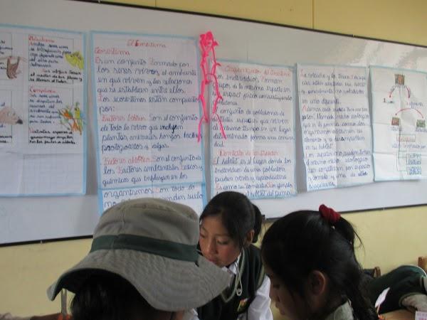 Imagen 40 ke-kermes foto