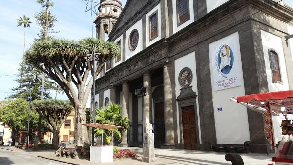 Imagen 53 Catedral de la Laguna foto