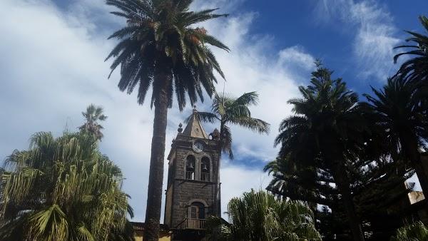 Imagen 54 Catedral de la Laguna foto