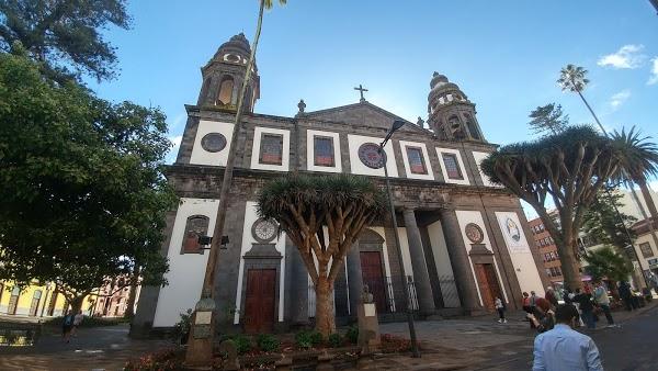Imagen 71 Catedral de la Laguna foto