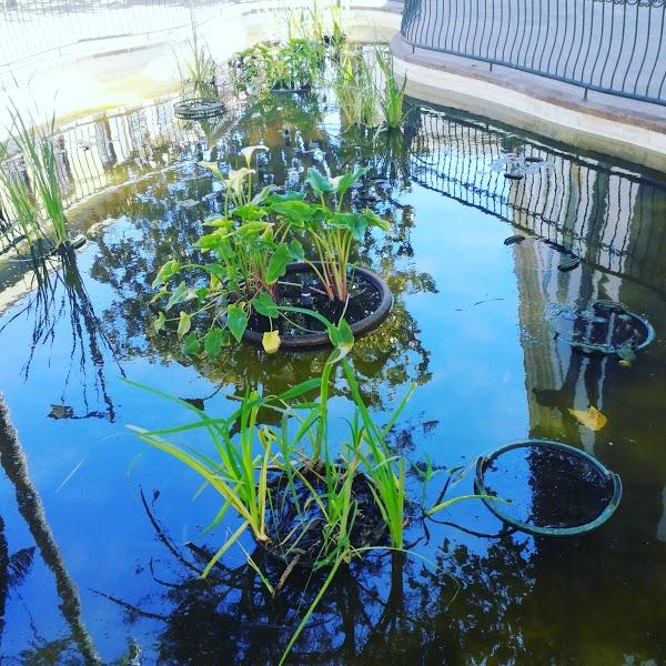 Imagen 79 Catedral de la Laguna foto