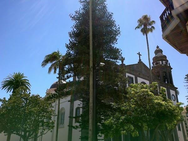 Imagen 9 Catedral de la Laguna foto