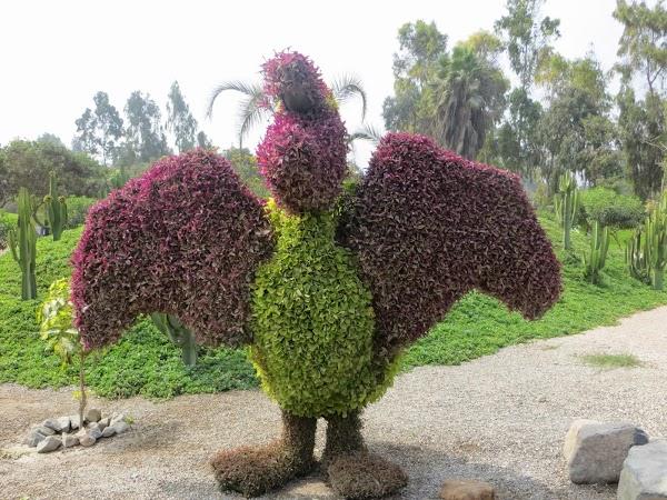 Imagen 16 Control Vital foto