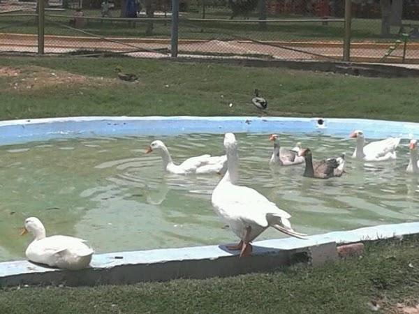 Imagen 20 Control Vital foto