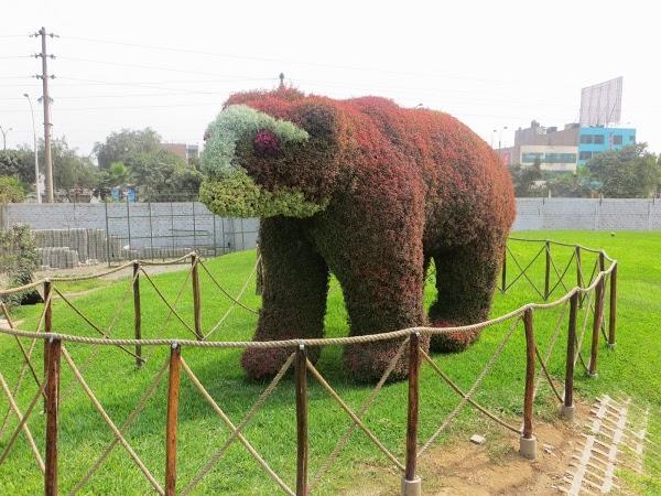 Imagen 21 Control Vital foto